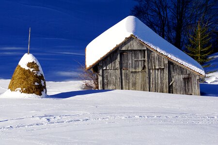 Scale wood log cabin photo