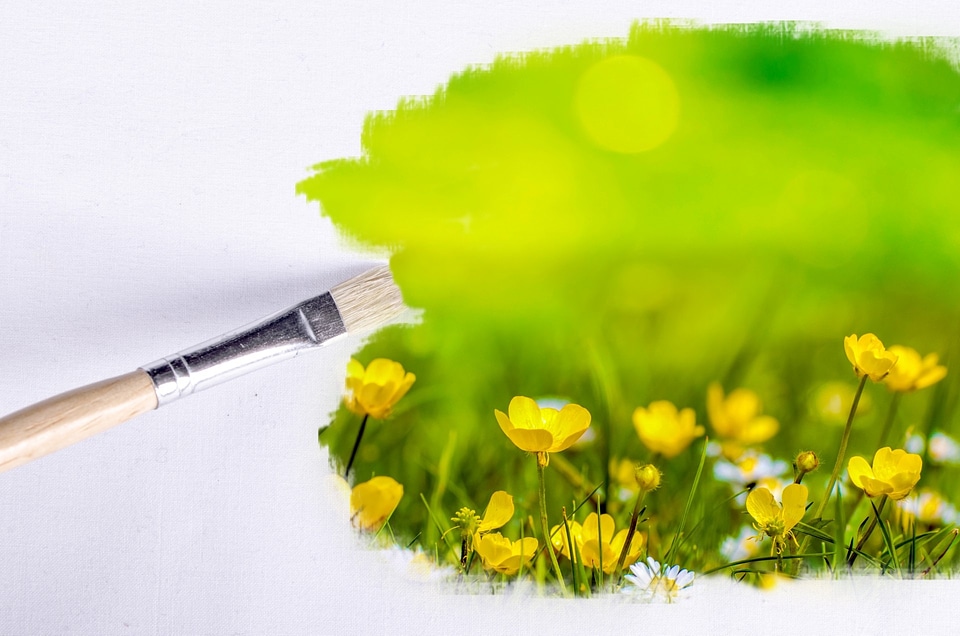 Flowers sunlight wallpaper