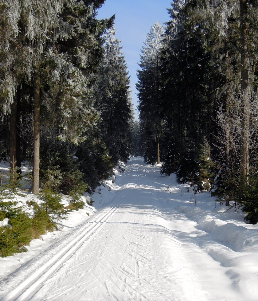 Snowy snow cross-country skiing