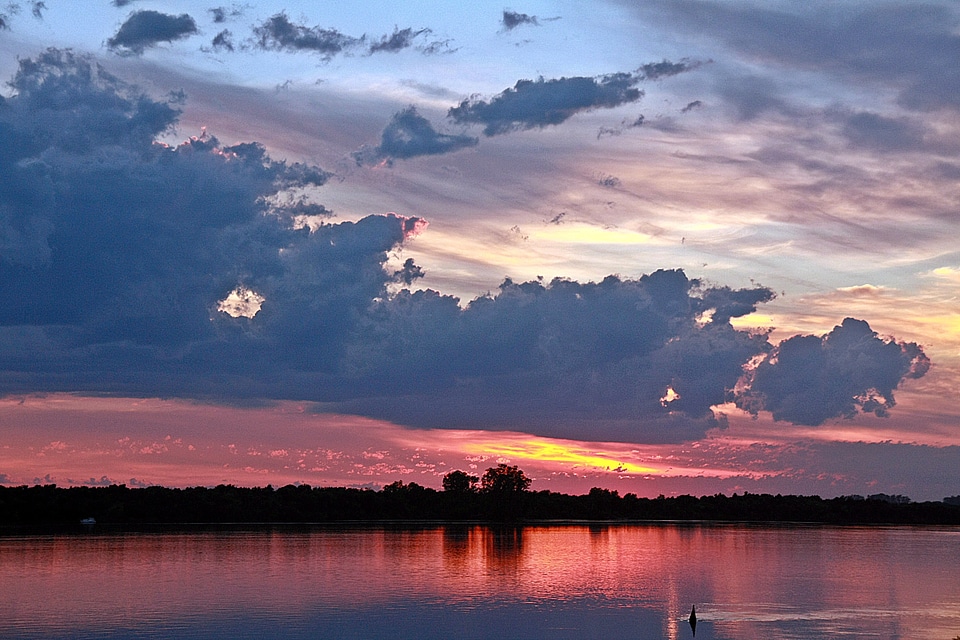 Bird pond sunset