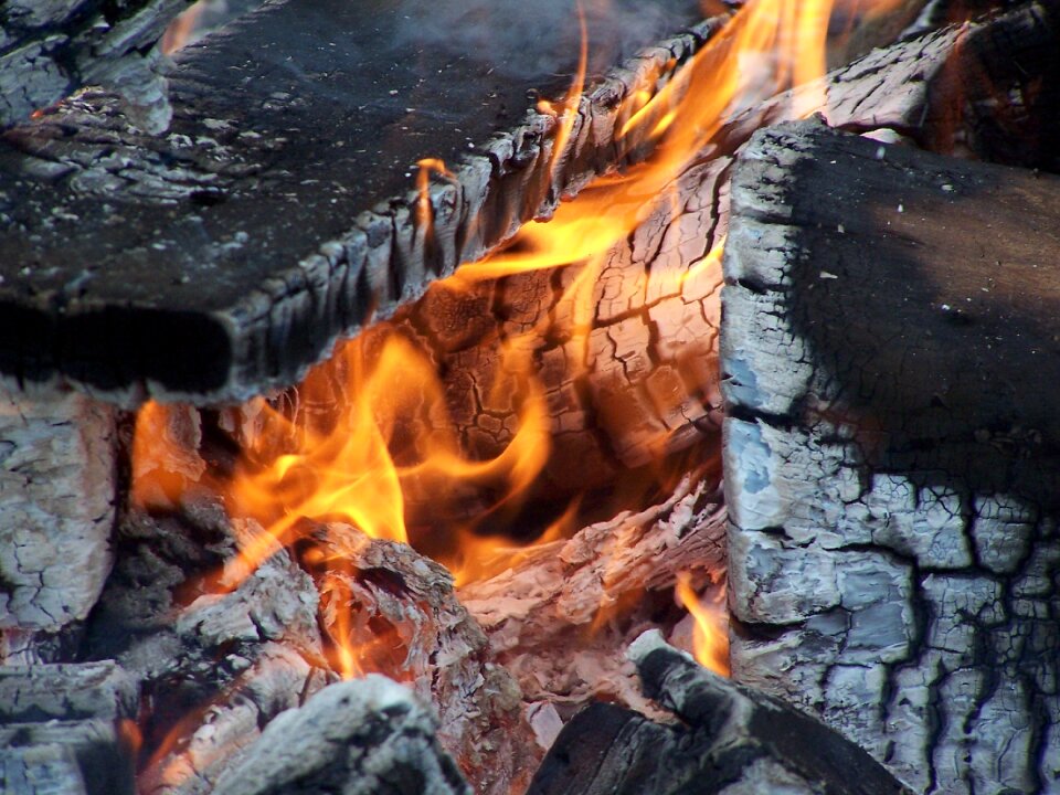Wood summer outdoor