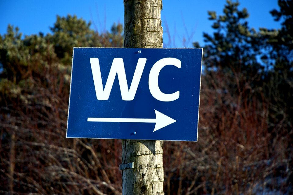 Restroom mark blue