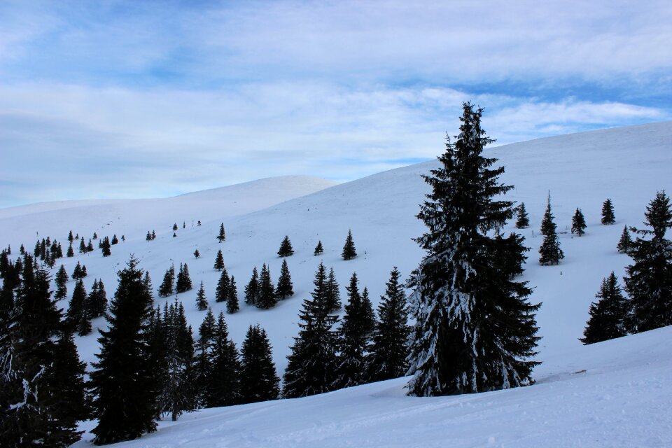Blue cold nature