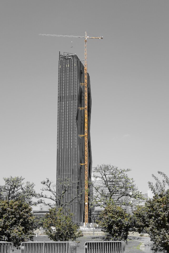 Site crane architecture