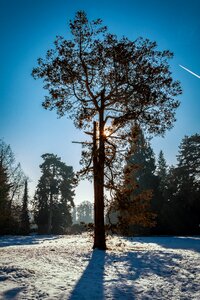 Sun backlighting landscape