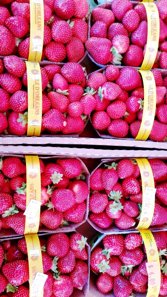 Berry fruit strawberry