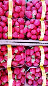 Berry fruit strawberry photo