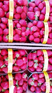 Berry fruit strawberry