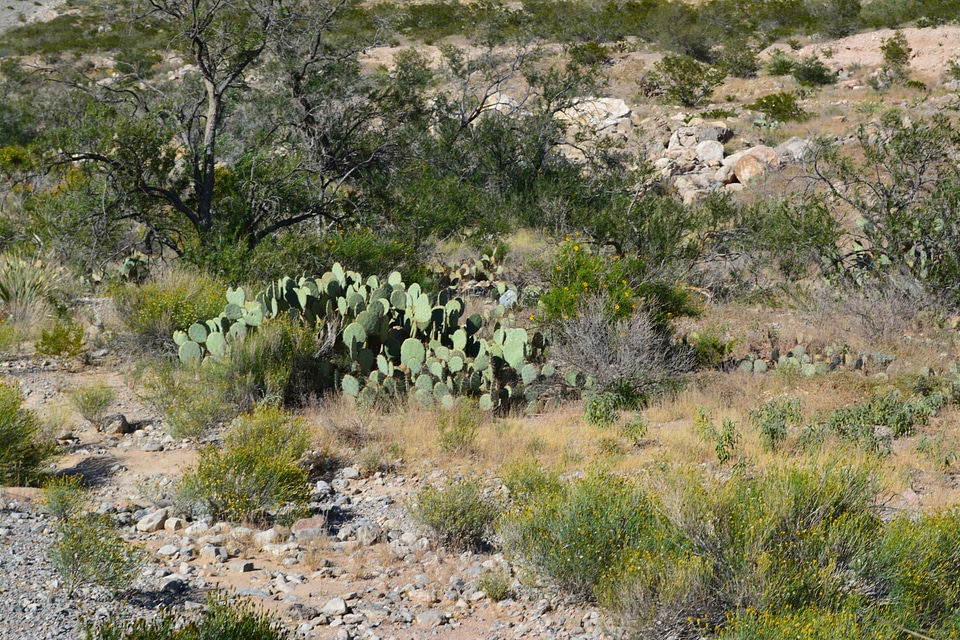 Landscape wilderness scenery