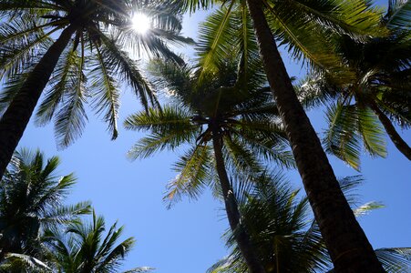 Blue sky salvador bahia photo