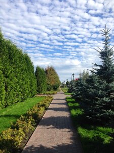 Handsomely nature happiness