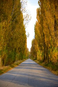 Path infinity nature