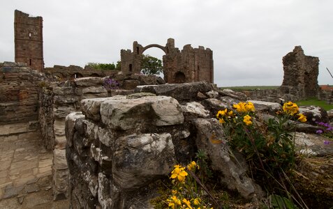 Island holy cuthbert photo