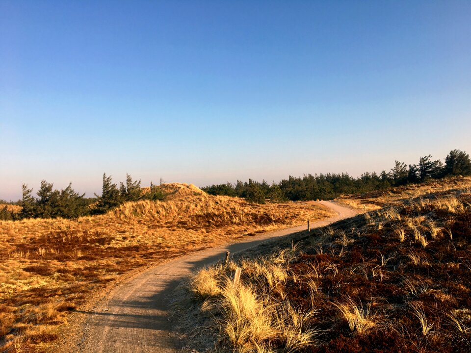 Trail rest denmark
