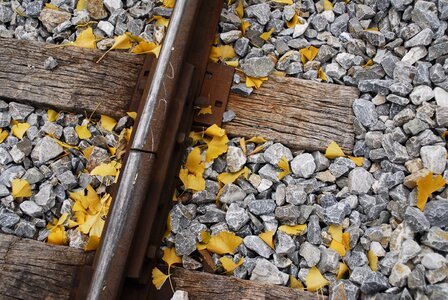 Autumn leaves railroad tracks autumn