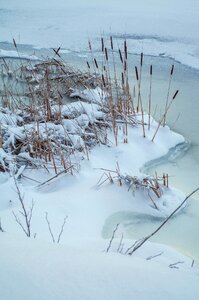 Winter sweden nature photo