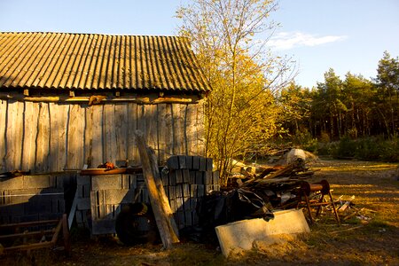 Forest wooden cottage summer photo