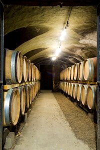 Wines botte barrels photo