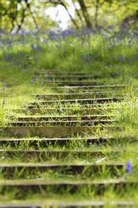 Covered stairs stone stairs scotland