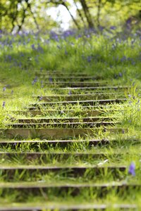 Covered stairs stone stairs scotland photo