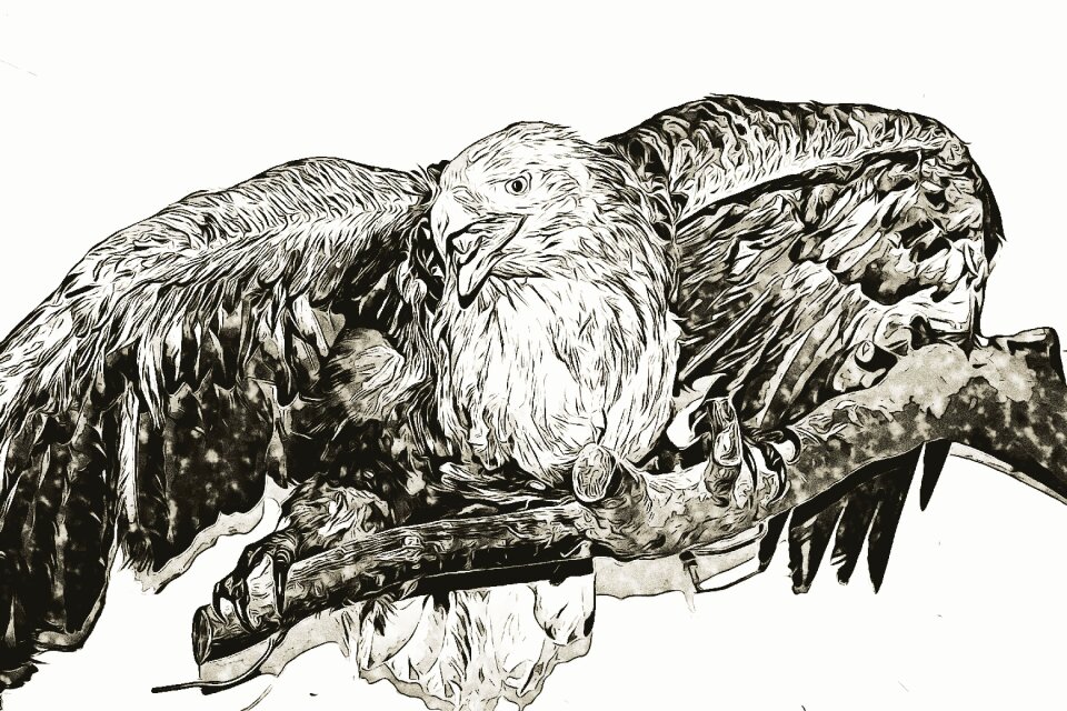 Sitting branch wing
