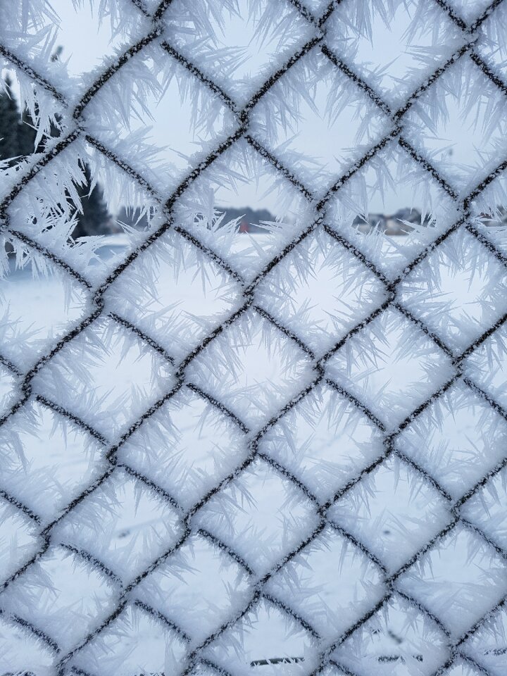 Winter magic eiskristalle hoarfrost