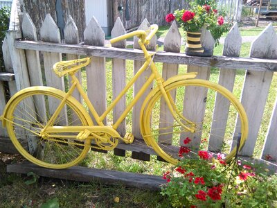 Bike joyful