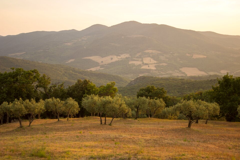 Tuscany abendstimmung view