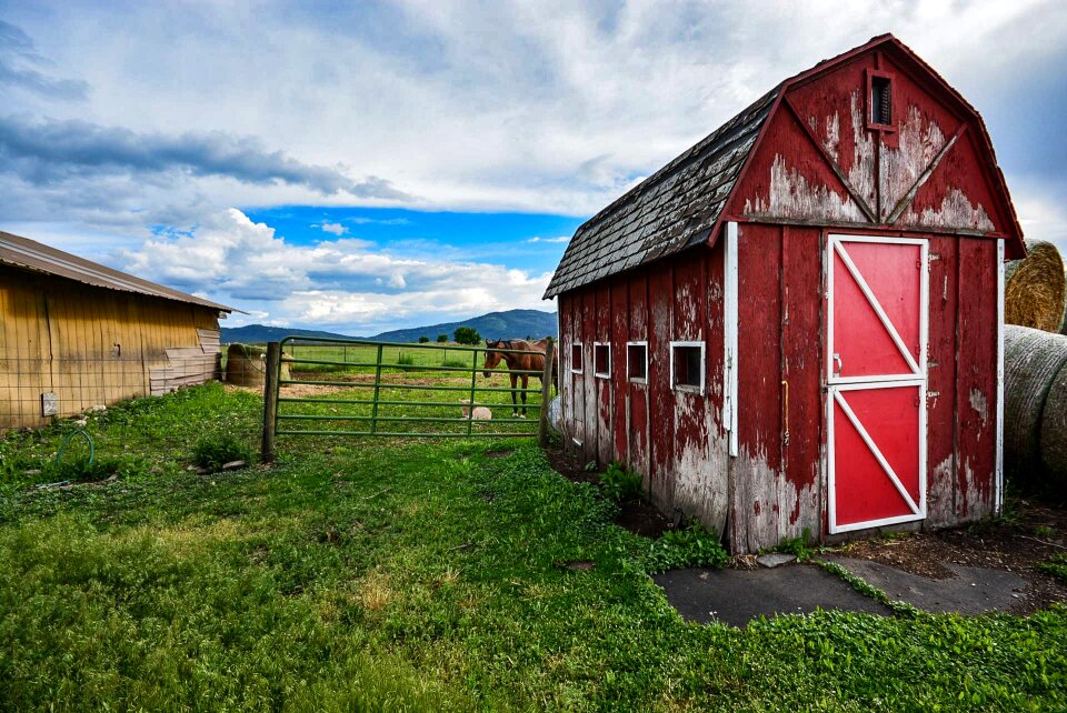 Pony country red photo