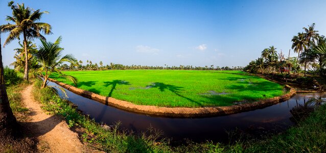 Agriculture farm landscape