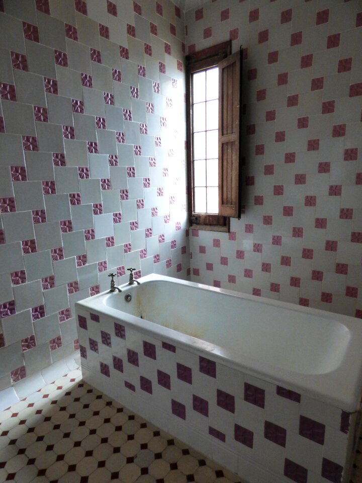 Bathtub vintage old