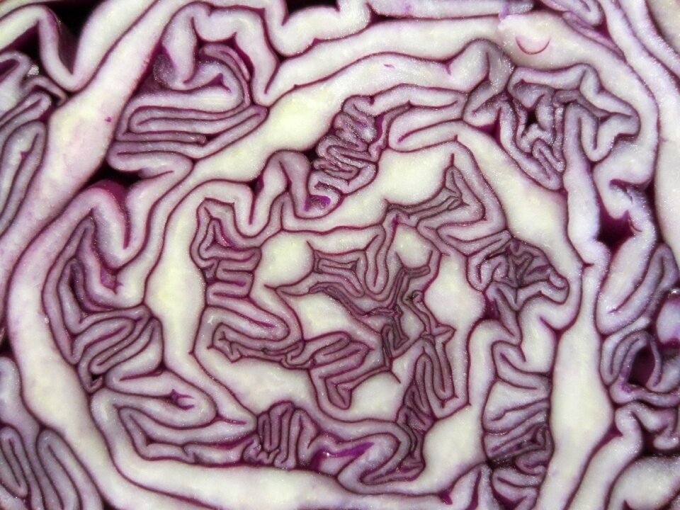 Vegetable food red
