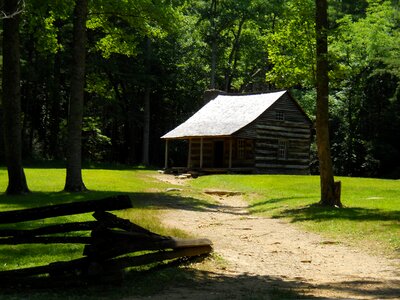 Forest home rustic photo