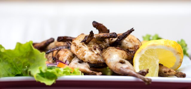 Meat grilled dinner