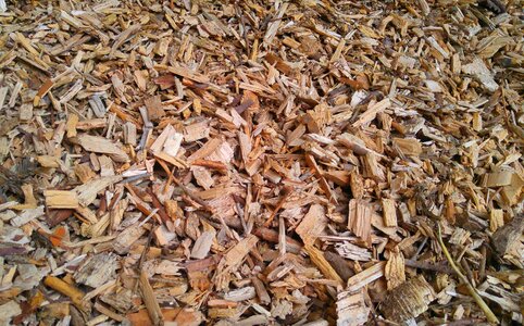 Natural product storage firewood photo