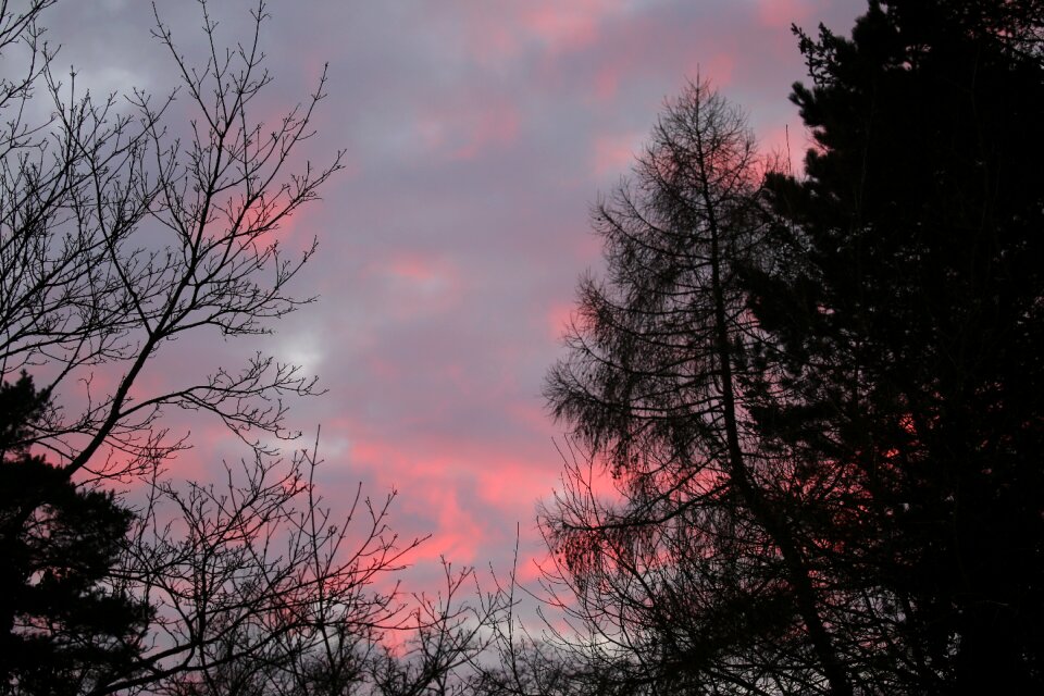 Sky winter clouds