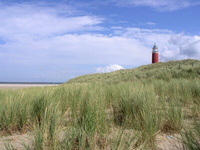 Texel lighthouse beach photo