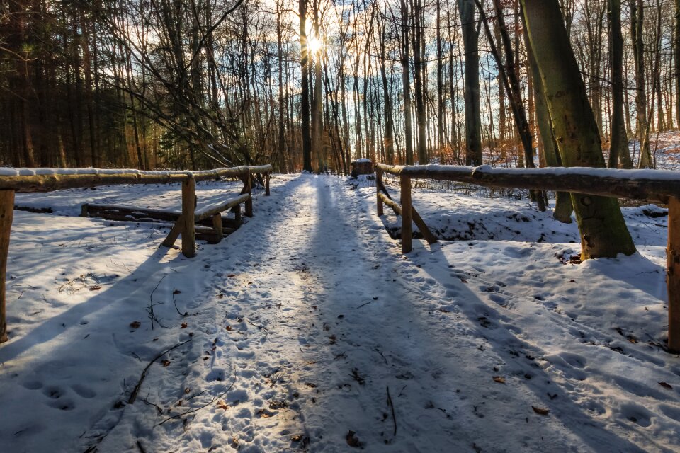 Winter wintry winter dream