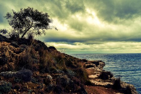 Cove coastal path sea