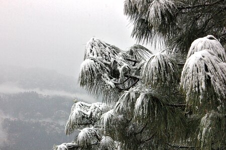 Himachal pardesh dangerous photo