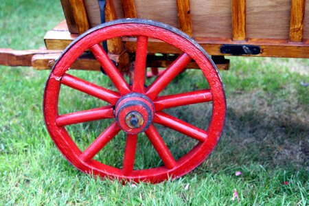 Field grass wood