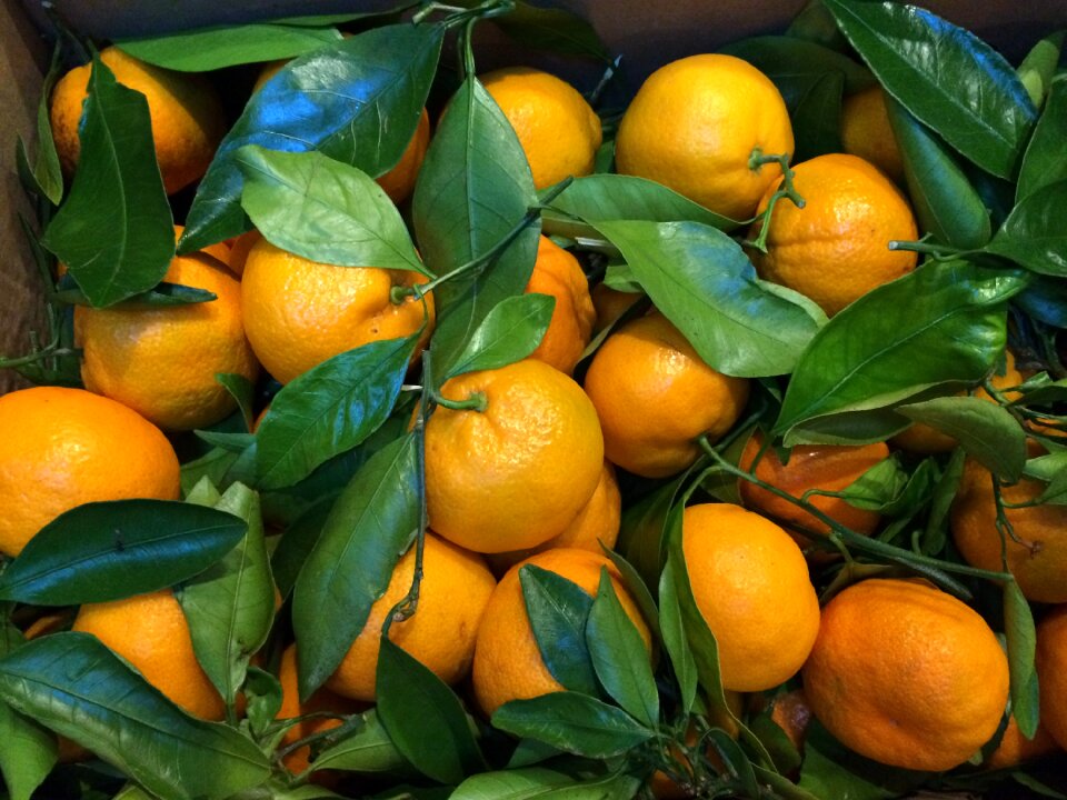 Healthy organic ripe