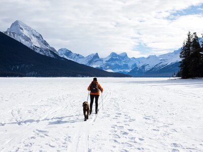 Cross country ski winter explore jasper