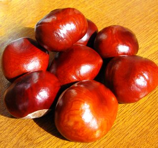 Food chestnut nuts