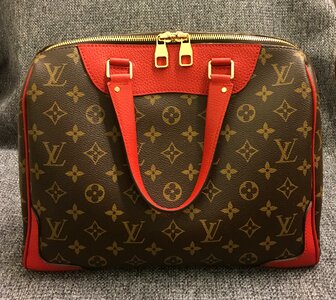 Bag vuitton monogram