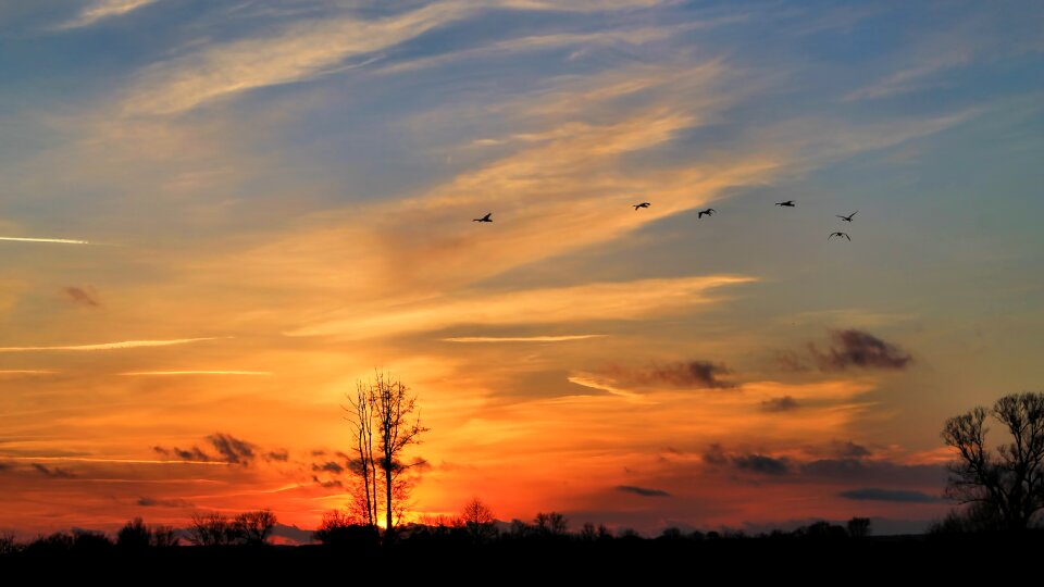 Nature sky evening sky photo