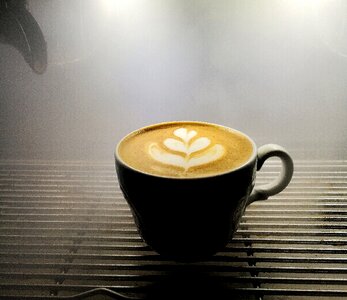 Tulip milk latte photo