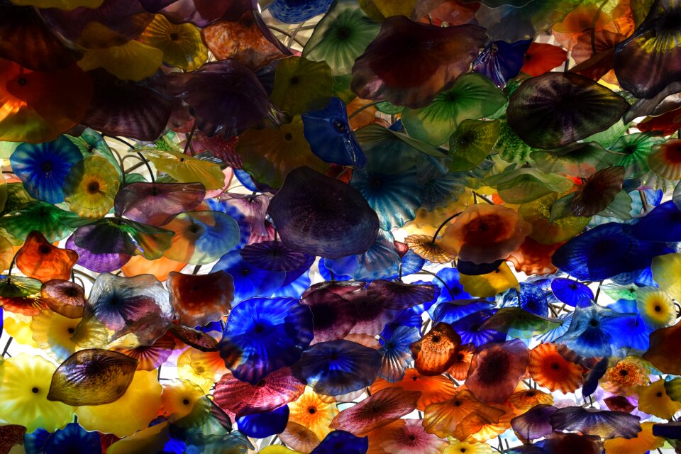Color light abstract