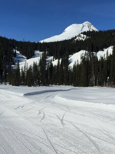 Nordic cross country