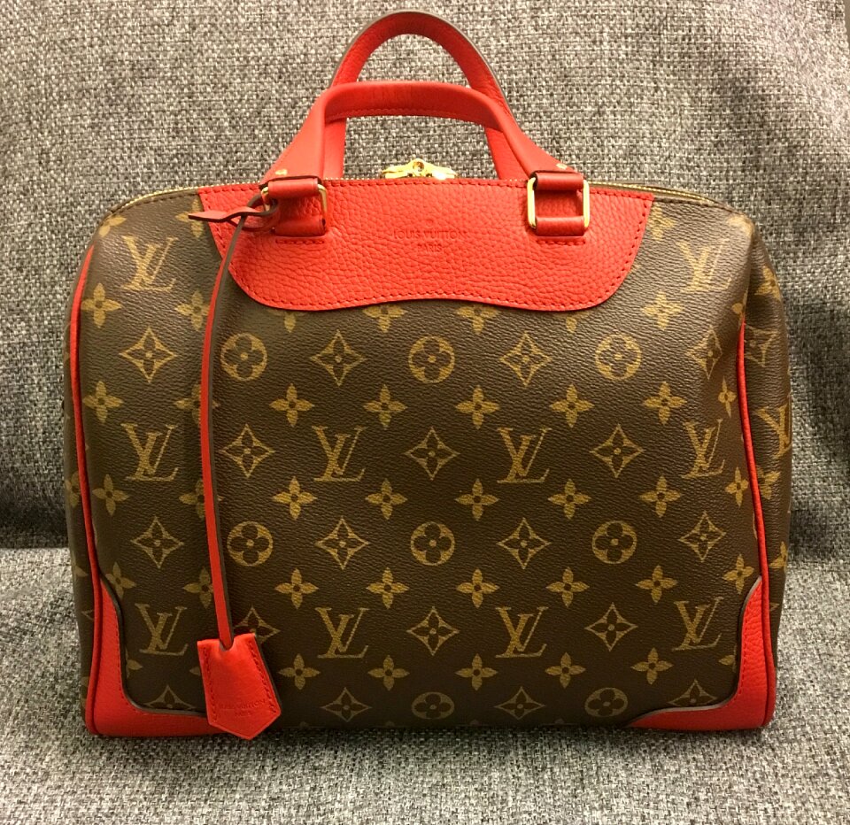Bag vuitton monogram